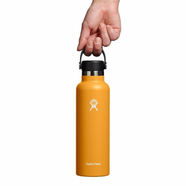 Hydro Flask Thermos Bottle 21 OZ Standard Flex Cap 621ml, Fossil