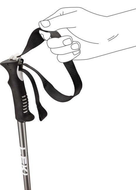 LEKI Primacy Ski Poles, Black/Light Anthracite/White
