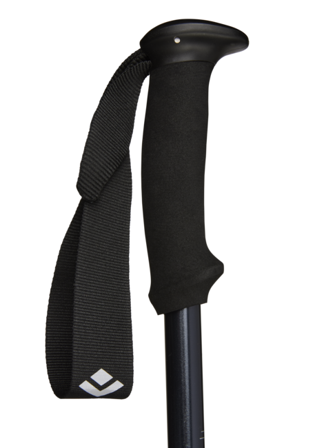 Black Diamond Explorer 2 Trekking Poles, Ink Blue