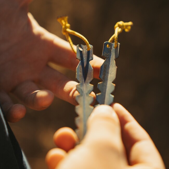 Silverant Titanium Tent Pegs Y-profile