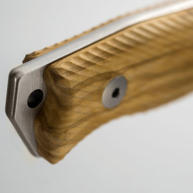 Lionsteel M5 UL Medium Knife, Olive Wood Handle