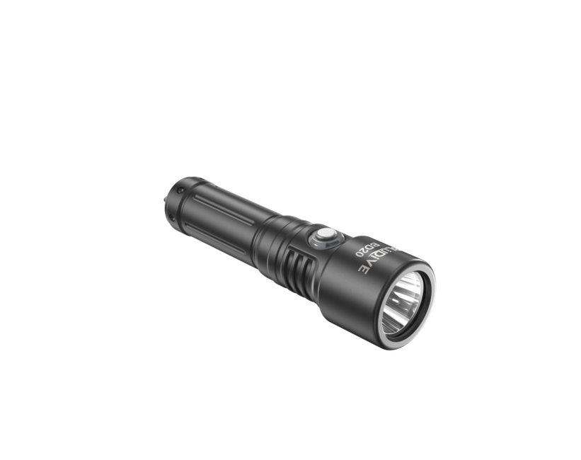 Bludive BD20 Diving Light, Black