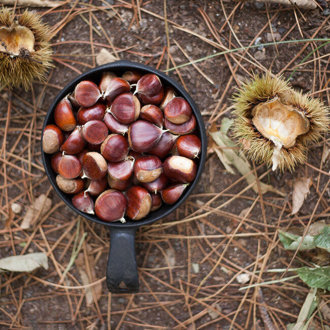 KUPILKA Bowl 55, Black