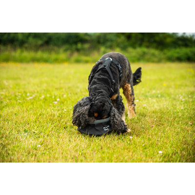 Mountain Paws Pet Harness S