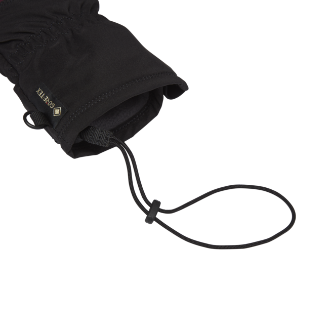 Black Diamond Mission Women's Winter Gloves, Blackberry