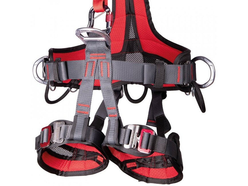 CAMP Golden Top Evo Alu Harness