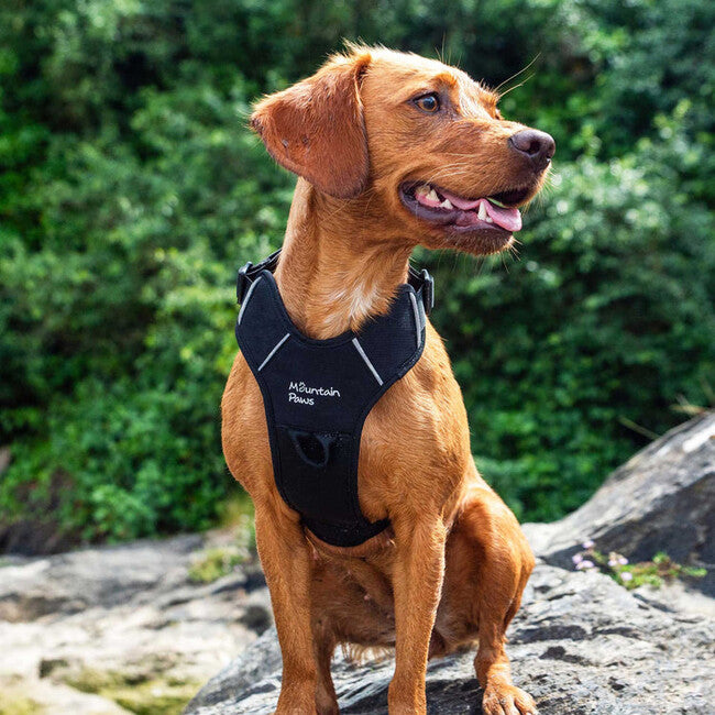 Mountain Paws polstrované postroje pre psy Dog Harness stredné, čierna