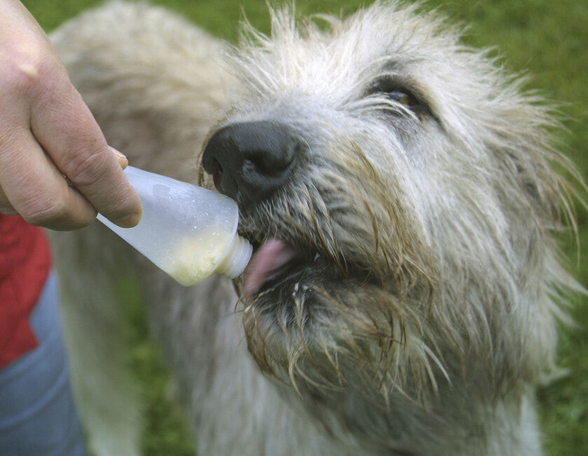 Origin Outdoors Squeeze Tube Fillable Training Treats for Dogs, 2 pcs 200 ml