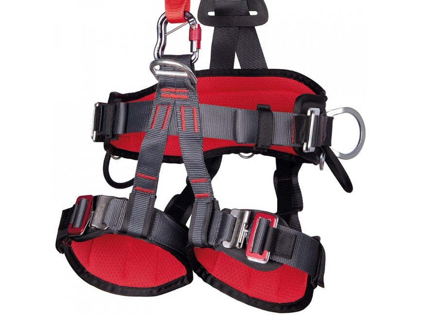 CAMP Golden Top Plus Harness