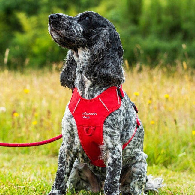Mountain Paws Padded Dog Harness Small, Red