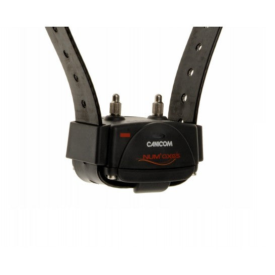 Numaxes Canicom 200 First Training Collar