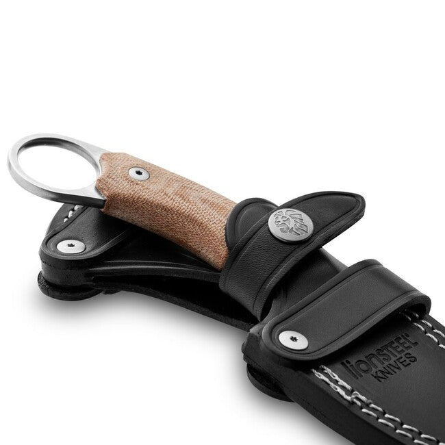 Lionsteel H2 CVN
