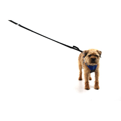 Mountain Paws Lead Paw Shock Absorber, Black