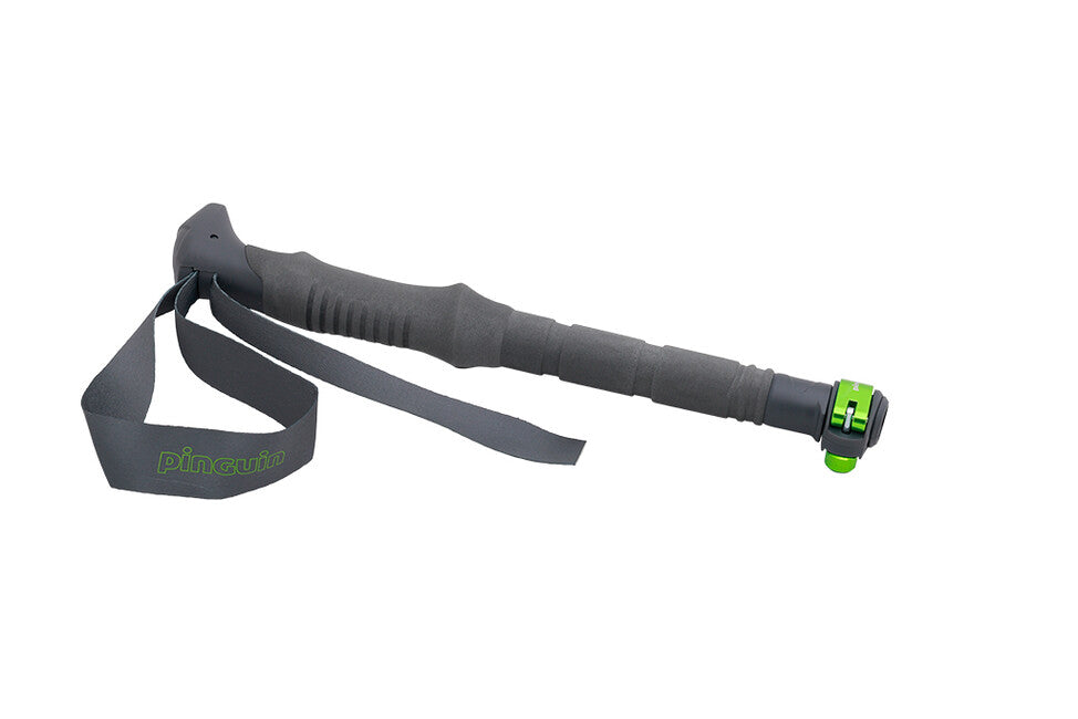 Pinguin Compact FL Trekking Poles, Grey