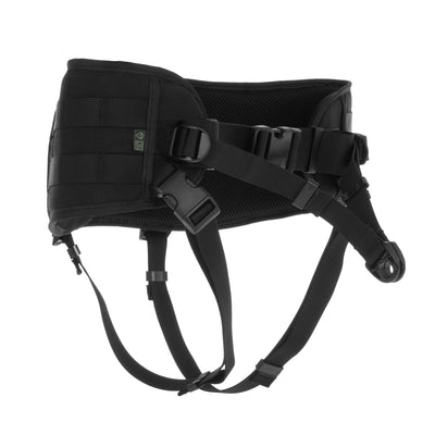 Dog Training Belts