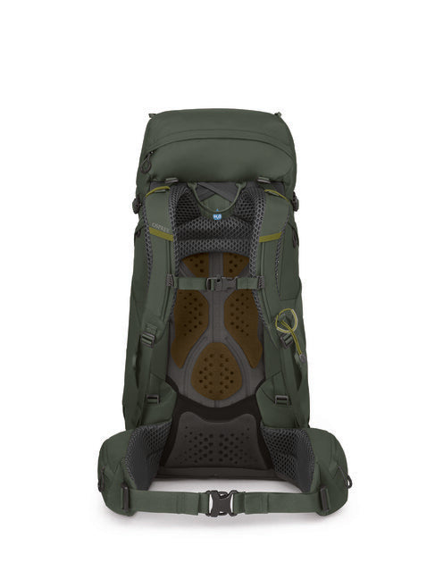 Osprey Kestrel 48 Hiking Backpack, Bonsai Green