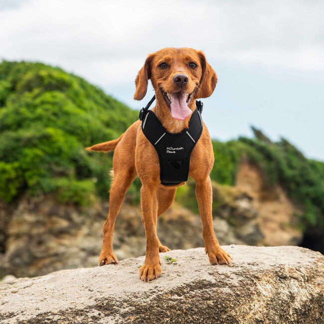 Mountain Paws polstrované postroje pre psy Dog Harness stredné, čierna