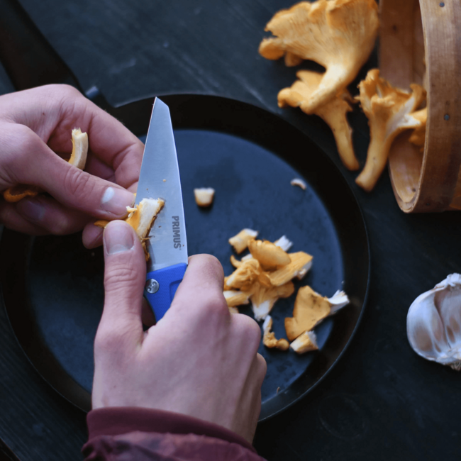 PRIMUS FieldChef Pocket Knife, Blue