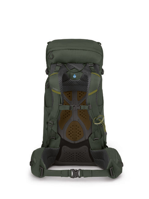 Osprey Kestrel 38 Hiking Backpack, Bonsai Green