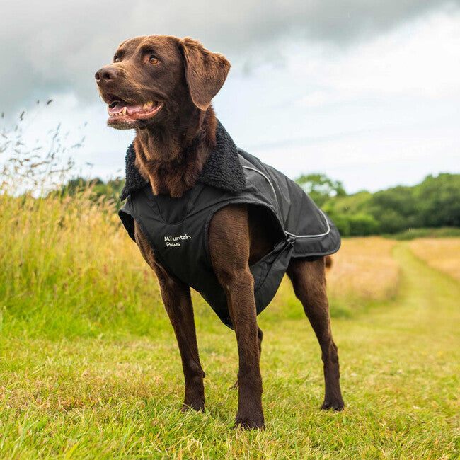 Mountain Paws Dog Raincoat Rain Cover, Small