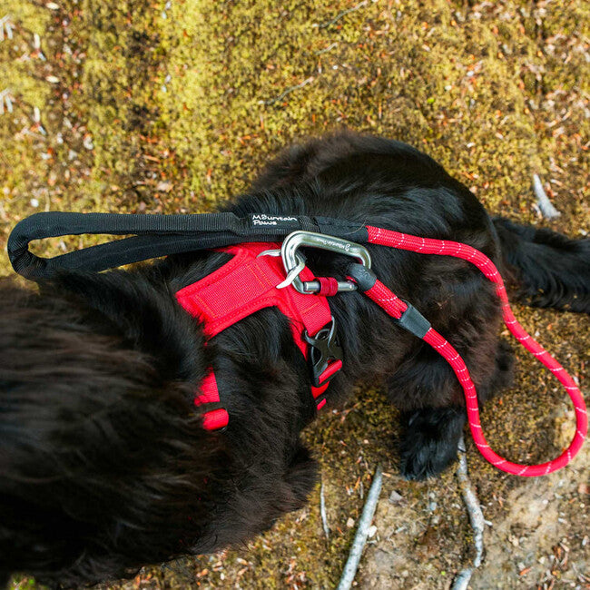 Mountain Paws Padded Dog Harness Small, Red