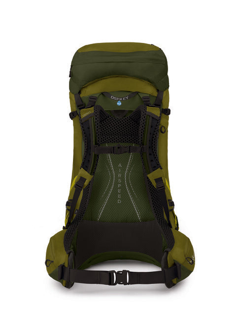 Osprey Atmos AG LT 50 Backpack, Scenic Valley/Green Peppercorn