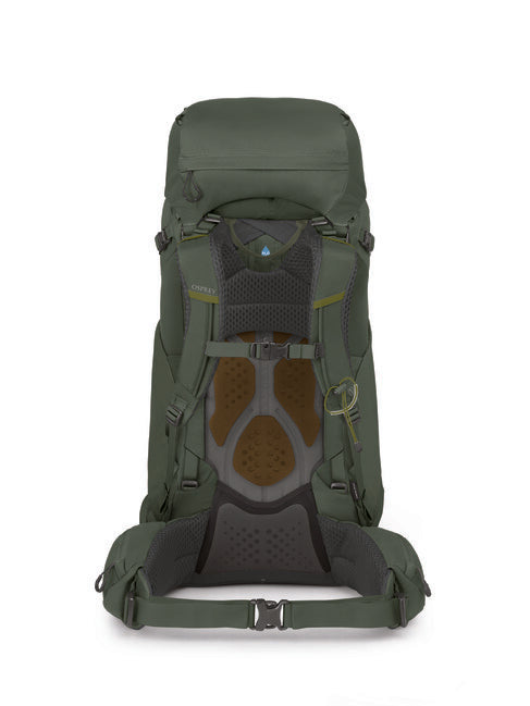 Osprey Kestrel 58 Hiking Backpack, Bonsai Green