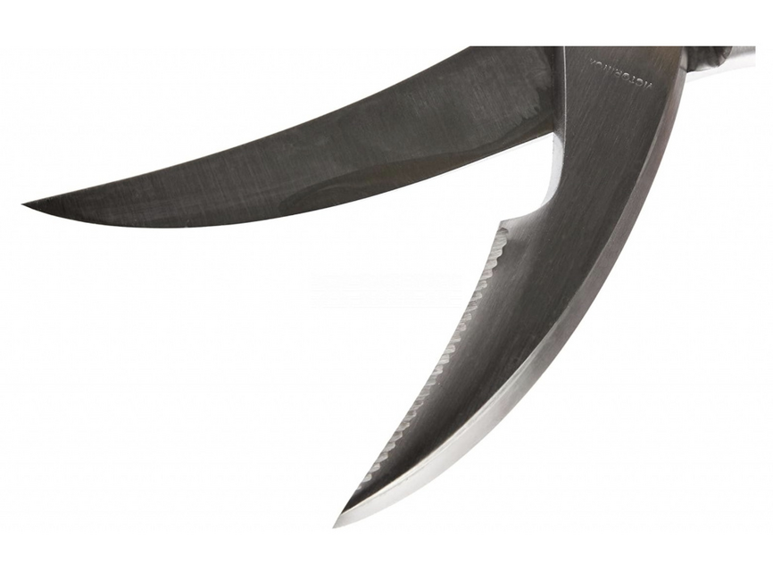 Victorinox Poultry Shears, All-Steel
