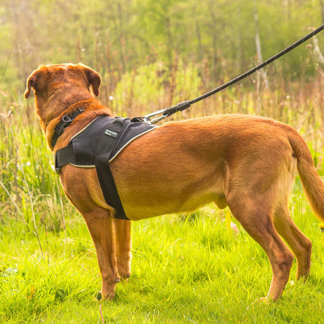 Mountain Paws Dog Harness Large