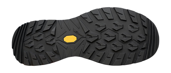 Lowa Renegade EVO GTX LO Men's Trekking Shoes