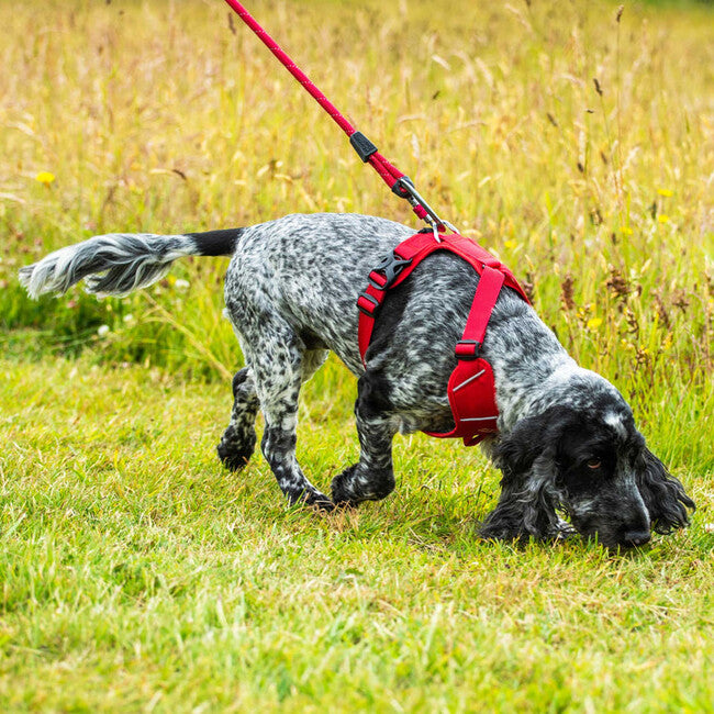 Mountain Paws Padded Dog Harness Small, Red