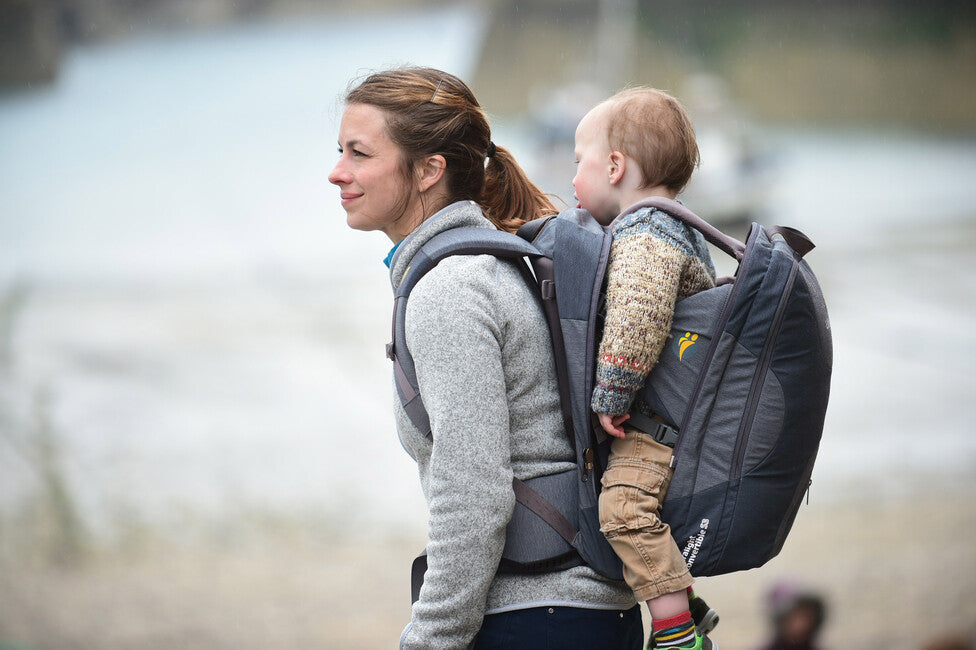 LittleLife Traveller S4 Child Carrier, Grey