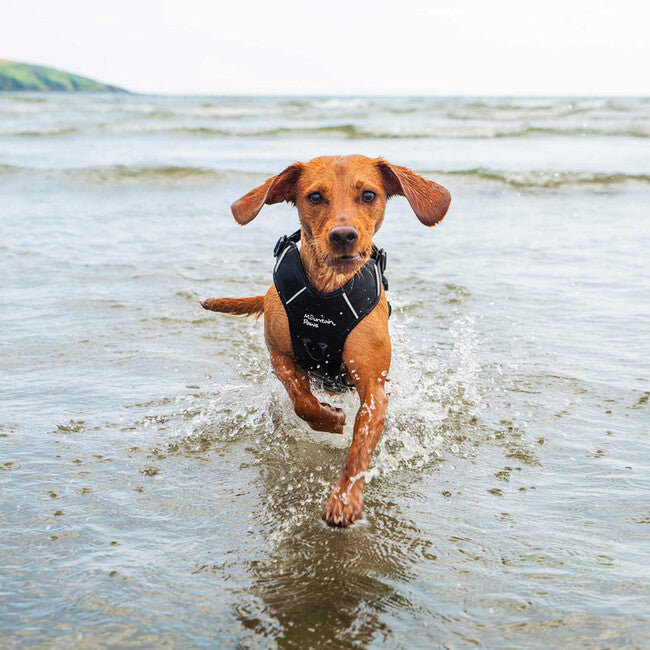 Mountain Paws polstrované postroje pre psy Dog Harness stredné, čierna