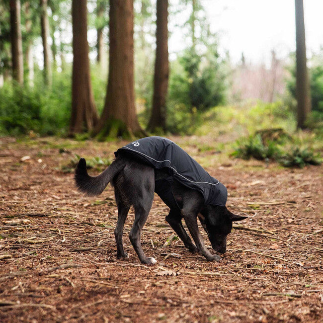 Mountain Paws Dog Raincoat Rain Cover, Large
