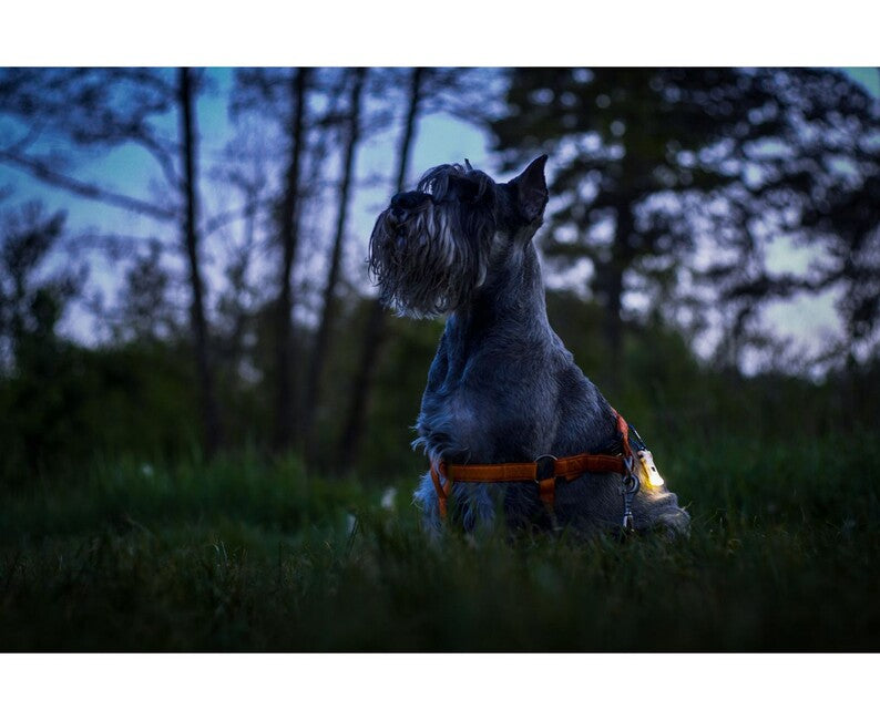 ArmyTek Zippy ES Led sada baterky a kľúčenky, zelená