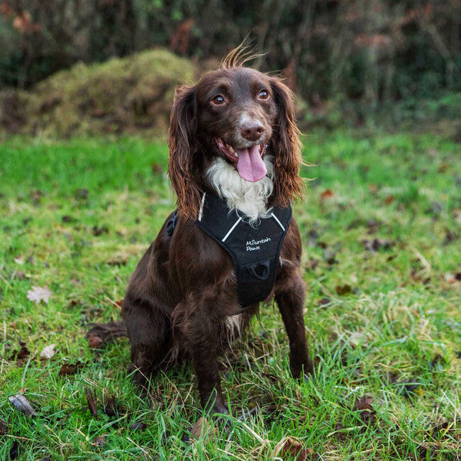 Mountain Paws polstrované postroje pre psy Dog Harness stredné, čierna