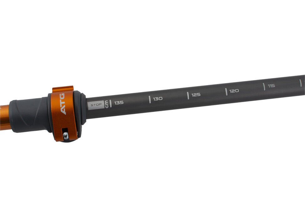 Pinguin Shock FL/TL Trekking Poles, Blue