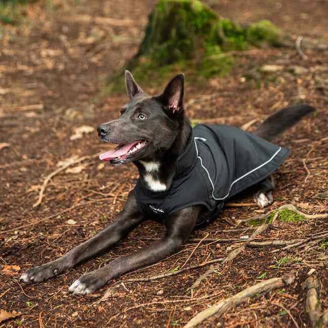 Mountain Paws Dog Raincoat Rain Cover, Extra Large