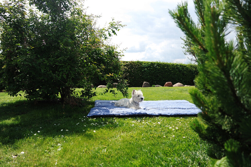 Amazonas Molly Picnic Blanket with Thermal Filling Ocean 175 x 135 cm