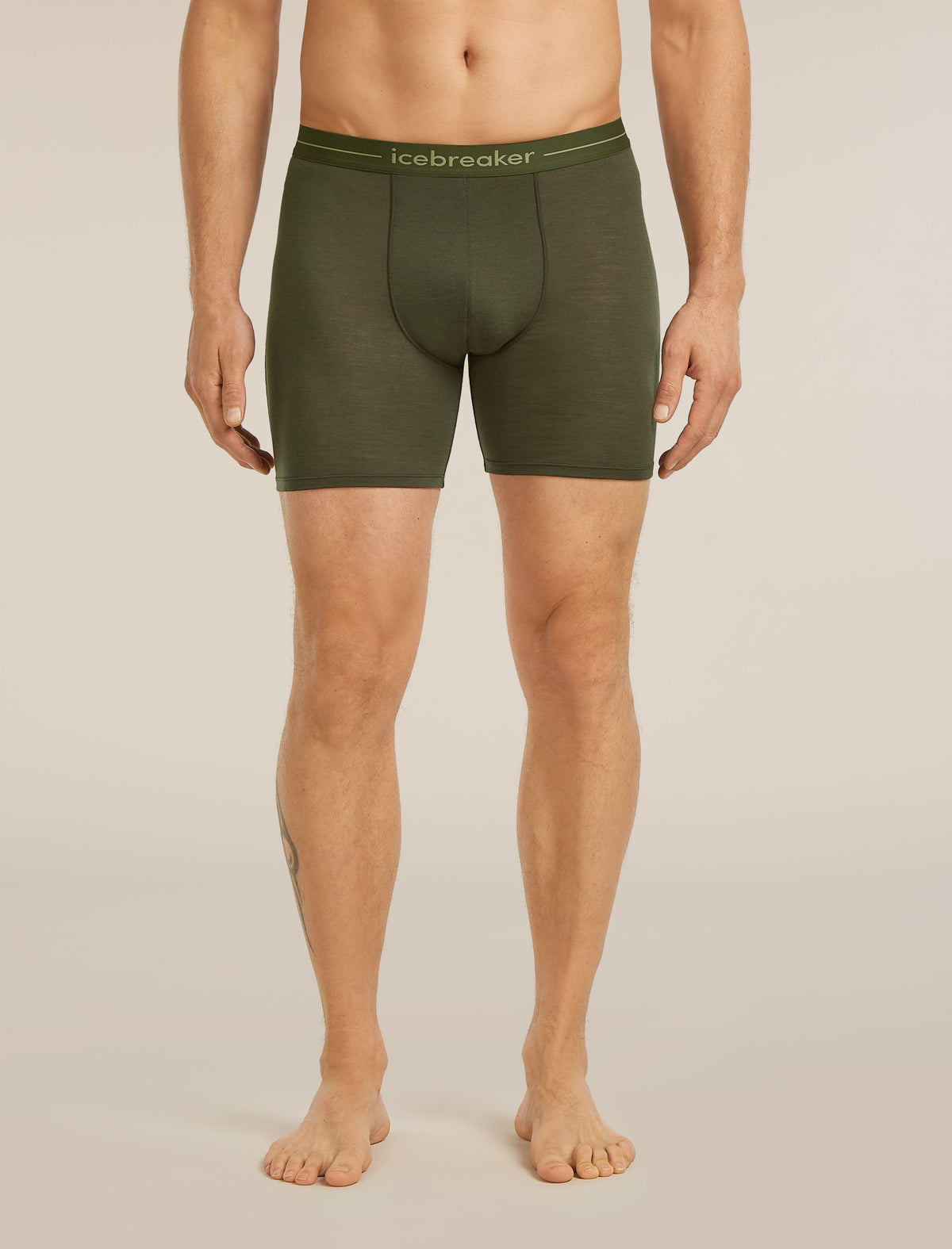 Icebreaker Anatomica pánske dlhé boxerky, tmavozelená