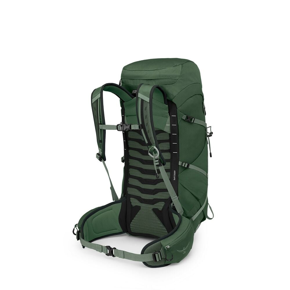 OSPREY TALON 33 turistický batoh, green canopy/pine leaf