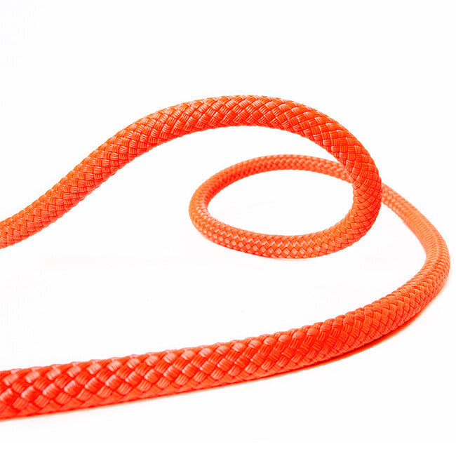 BEAL Pro Canyon Climbing Rope 10.3 mm 60 m