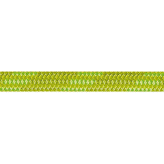BEAL Wall Cruiser Unicore Climbing Rope 9.6 mm 20 m, Green
