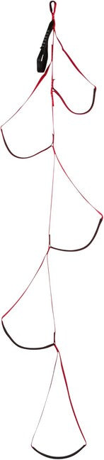 Black Diamond Alpine Climbing Ladder
