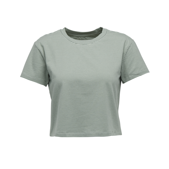Black Diamond Women's T-Shirt BD Stripe, Foam Green-Laurel Green