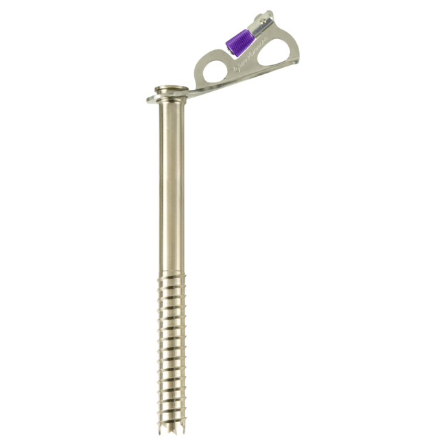 Black Diamond Express Ice Screw 22cm