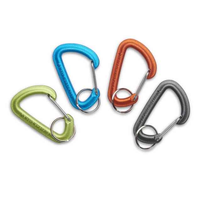 Black Diamond Micron Key Carabiner
