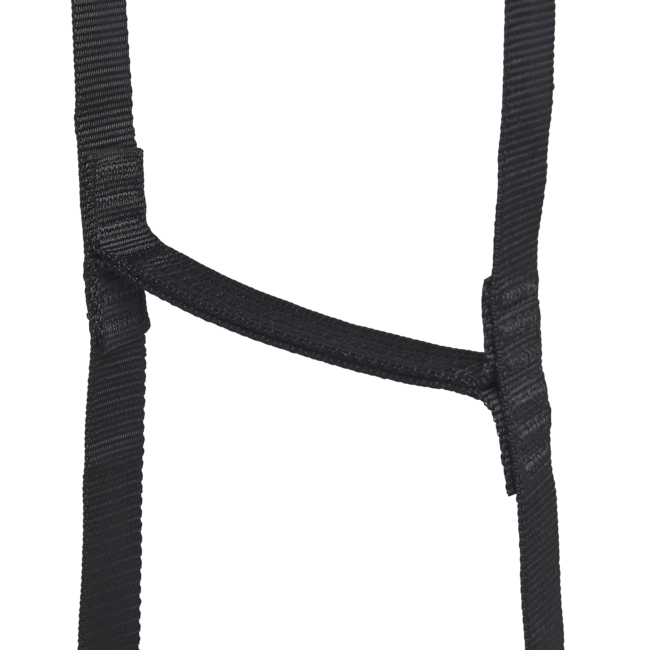 Black Diamond Stepup 6 Ladder, Black