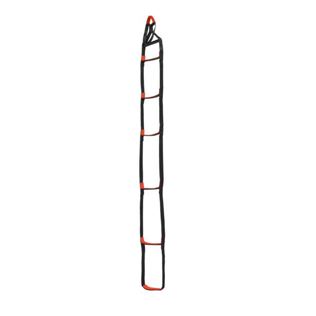 Black Diamond StepUp 6 Ladder, Octane