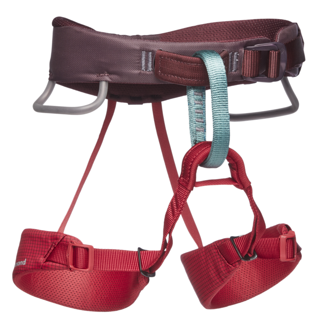 Black Diamond Momentum Climbing Harness, Wild Rose